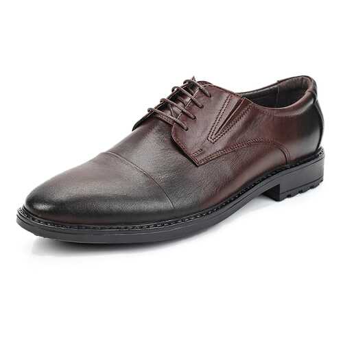 Туфли мужские Alessio Nesca 25807630 коричневые 40 RU в Крокс