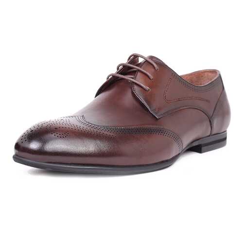 Туфли мужские Pierre Cardin 710017789 коричневые 40 RU в Крокс
