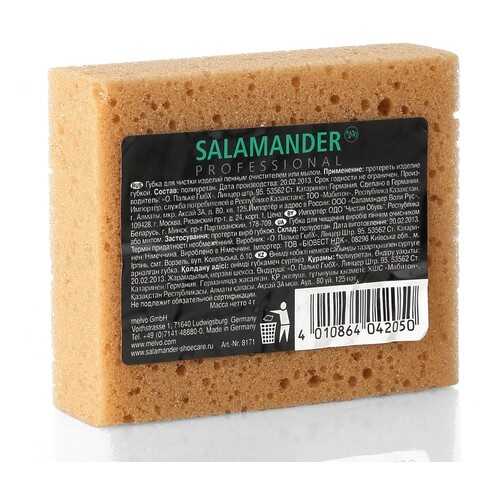 Губка для обуви Salamander Professional 671829 бесцветная в Крокс